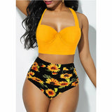 Sunflower Women Plus Size Bikini  Swimwear Set